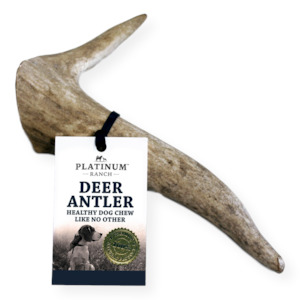 Platinum Ranch Deer Antler - Small