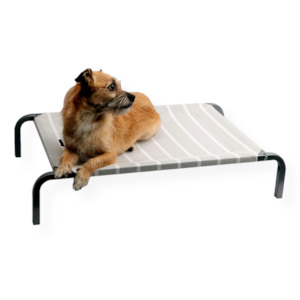 Pet One Leisure Raised Dog Bed Grey & White Medium