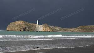 Book and other publishing (excluding printing): CASTLEPOINT DARK SKY