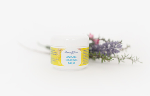 Animal & Pet Healing Balm 50gm