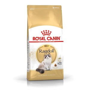 Royal Canin Ragdoll Adult