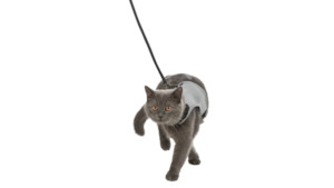 Products: Trixie Soft Cat Harness Set