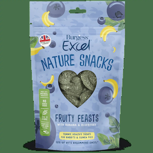 Small Animal Treats: Burgess Excel Fruity Feasts 60gm