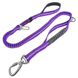 Pet: Bungee Dog Leash, 4-6FT No Pull Dog Leash with Car Seatbelt