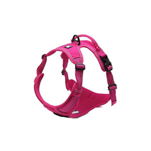 True Love Deluxe Mesh Harness Fuchsia Lge