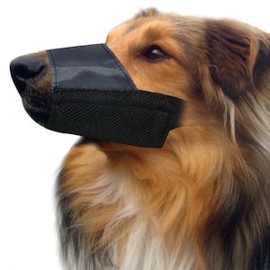 Pet: Pet One Muzzle - Nylon (L) Black