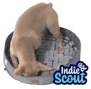 Pet: Indie & Scout Round Snuffle Mat Grey 50x50x9cm