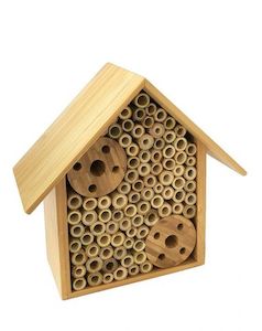 Pet: Topflite The Bug Hut - Insect House