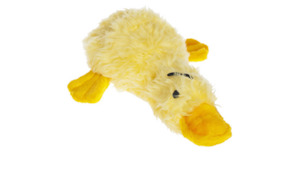 Pet: Duckworth Webster 32cm