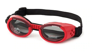 Doggles Eyewear Large