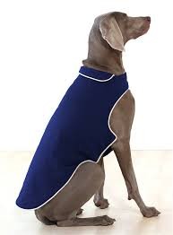 Dog Coats- Quality Jacket with Nanotechnology