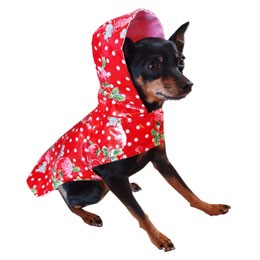 Dog Raincoat - Strawberry