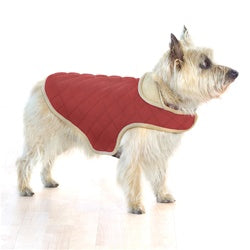 Pet: Red Quilted Warm Dog Jacket