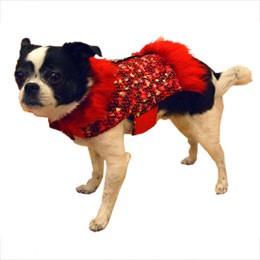 Madeline Fur Dog Coat XS-Harness