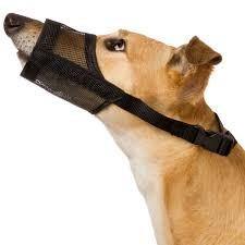 Dog Mesh Muzzles - Best Fit