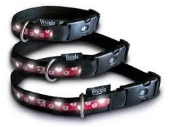 Visiglo Illuminating Fashion Dog Collar Small