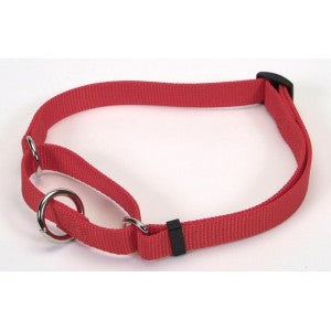 Coastal Martingale No-Slip Dog Training Collar