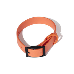 Pet: Yonder Dog Collar