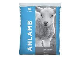 Anlamb Milk Replacer