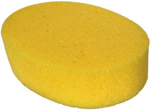 Pet: Sponge