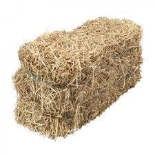 Pet: Hay