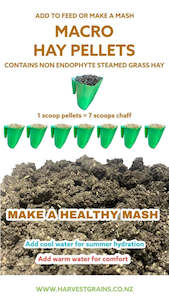 Pet: Hay Mates Macro Endophyte Hay Pellets