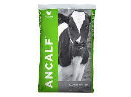 Pet: Ancalf Milk Replacer