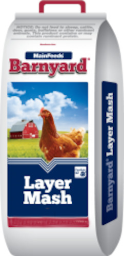 Barnyard Layer Mash