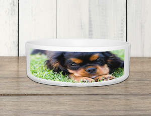 Ceramic Pet Bowl