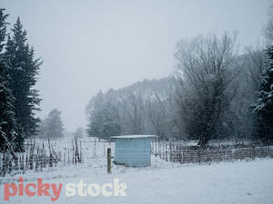 Field of Snow