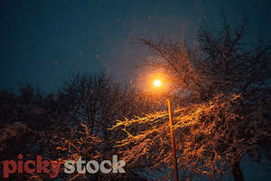 Street light I