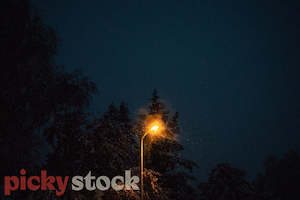 Street light II