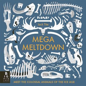 Books: MEGA MELTDOWN