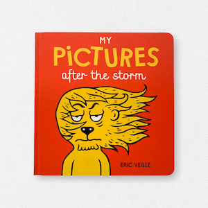 Books: My Pictures After the Storm