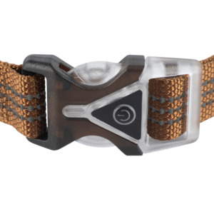 Carhartt LIGHTED DOG Collar