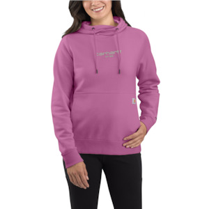 Carhartt Women's TS5573 Lightweight Graphic Sweatshirt