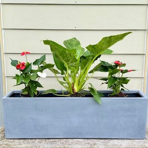 Products: Trough Planter