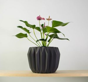 Anthurium Joli in Fluted Pot