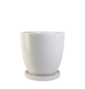 White Ceramic with Saucer, 31cm