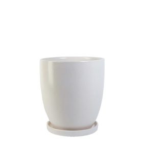 White Ceramic with Saucer, 26cm