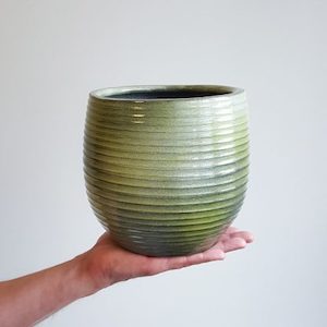 Eddie Pot, 19cm