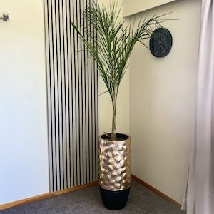 Queen Palm in Gold Venus Planter