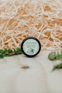 Kawakawa Salve Sample