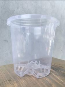 Plant, garden: Clear Nursery Pot (10 Pack)