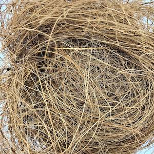 Plant, garden: Coconut Fibre - Coir