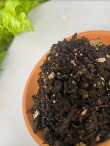 Plant, garden: Premium Potting Mix - Soil Box