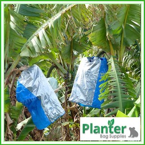 Banana Bunch Cover Bags Blue / Silver