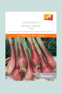 Spring Onion - Toga - 275 Seeds