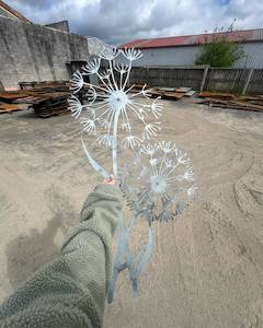 Sales agent for manufacturer: Dandelion Wall Art