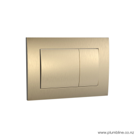 Bathroom and toilet fitting: Metal Flush Panel Brushed Brass PVD